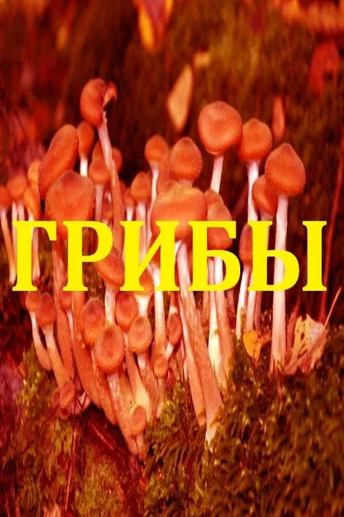 Mushrooms movie poster