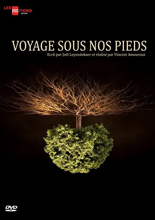 Voyage sous nos pieds tv show poster