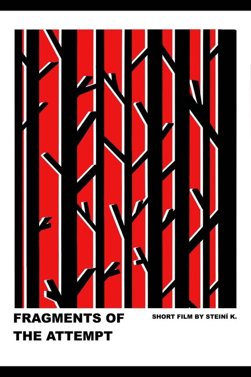 Poster do filme Fragments of the Attempt