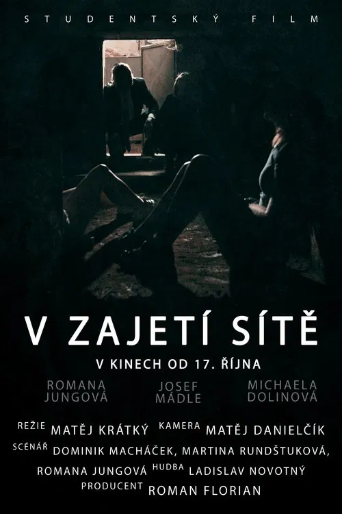 V zajetí sítě movie poster