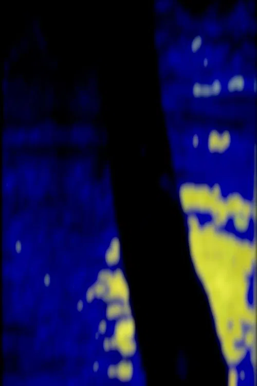 Poster do filme Alone At Sea, Under Our Tree