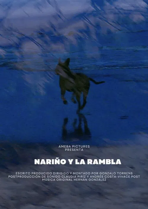Nariño y la Rambla movie poster