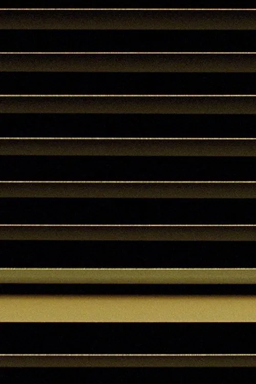 Untitled movie poster