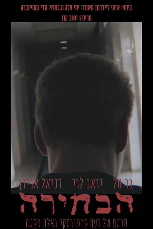 The Choice movie poster