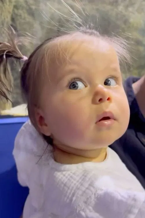 Maja Wiśniewska profile picture