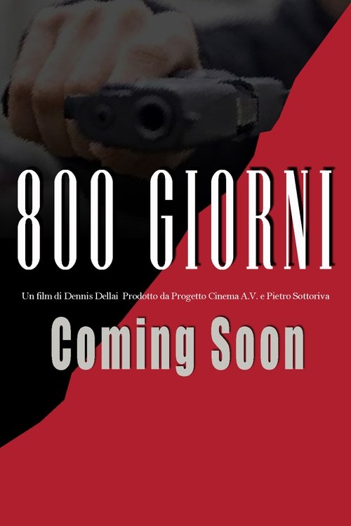 800 giorni movie poster