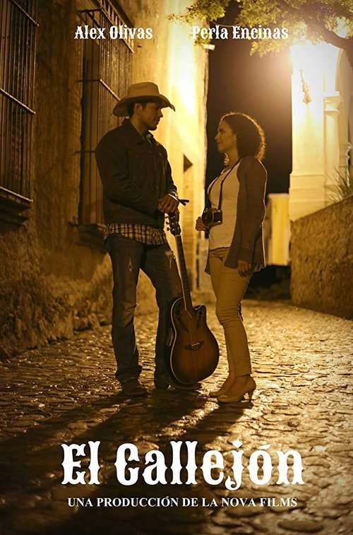 The Alley movie poster