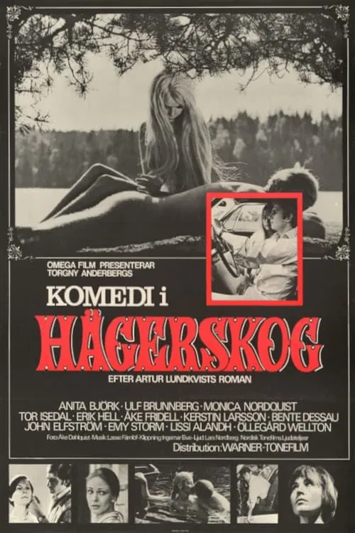 Komedi i Hägerskog movie poster