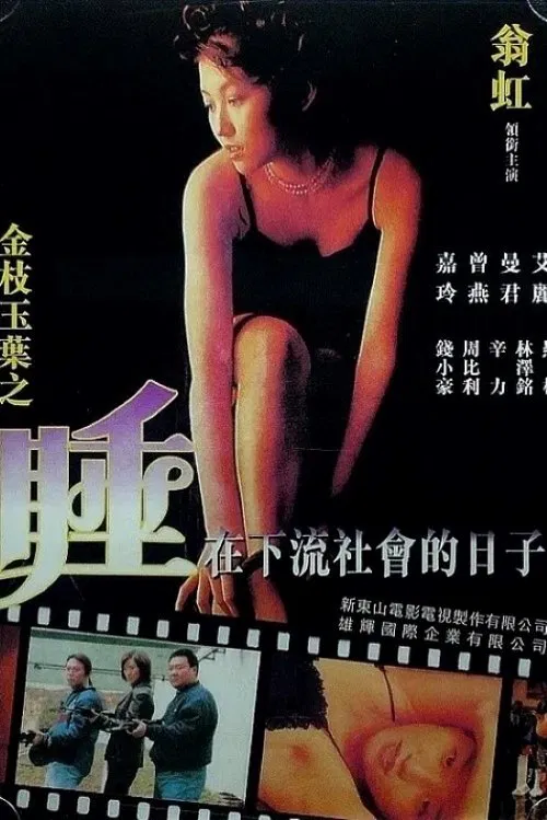 Poster do filme Undercover Girls