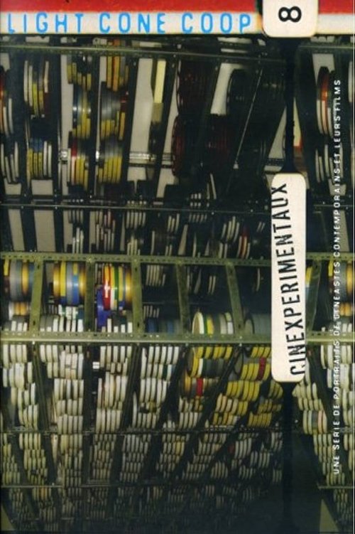 Cinexpérimentaux #8: Cooperative Light Cone movie poster