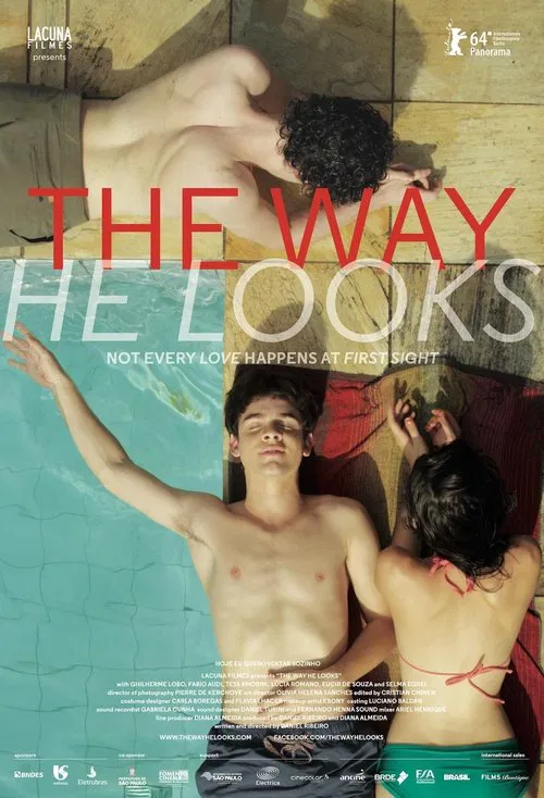 The Way He Looks movie poster