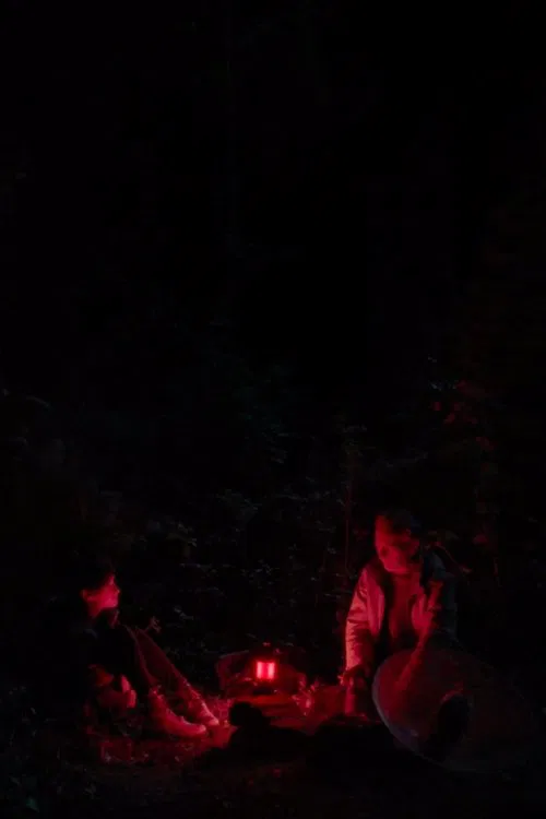 07:15 - Blackbird movie poster