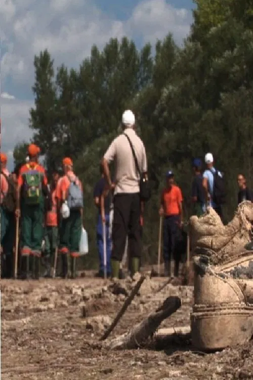 A Day on the Drina movie poster