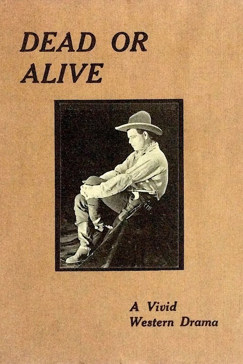 Dead or Alive movie poster