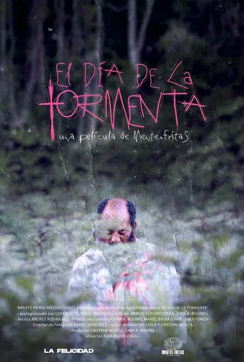 Poster do filme The day of the storm