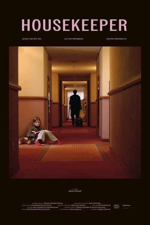 Poster do filme Housekeeper