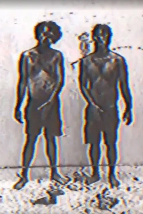 Poster do filme Fook Fook Boys