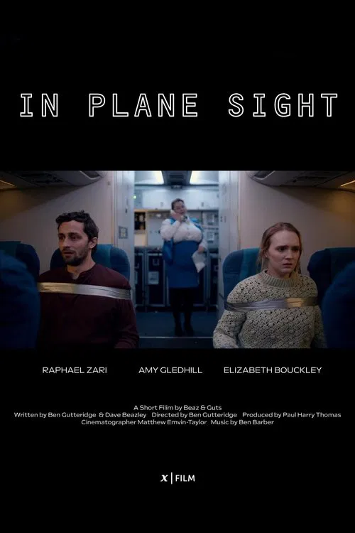 In Plane Sight movie poster
