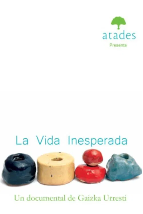 Poster do filme La vida inesperada