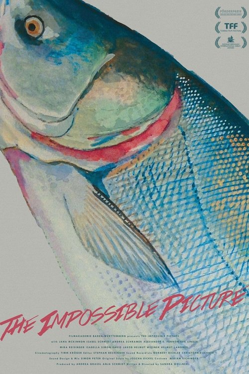 The Impossible Picture movie poster