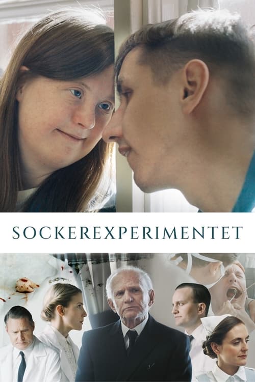The Sugar Experiment movie poster