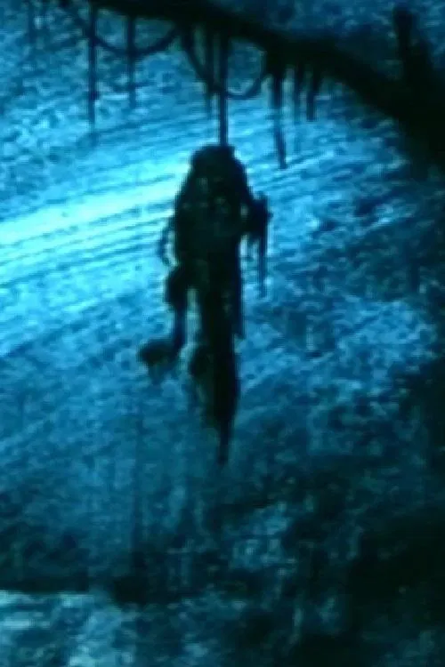 I Saw a Stretch and Mud movie poster