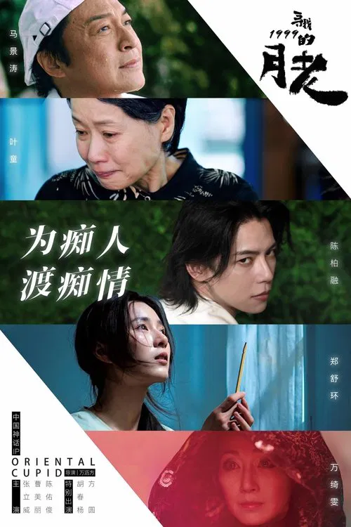 Poster do filme 寻找1999的月老