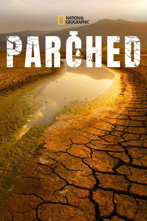 Parched tv show poster