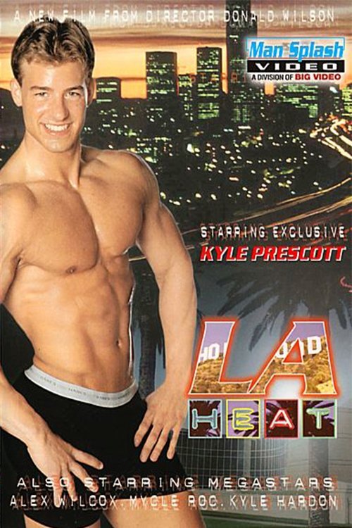 LA Heat movie poster