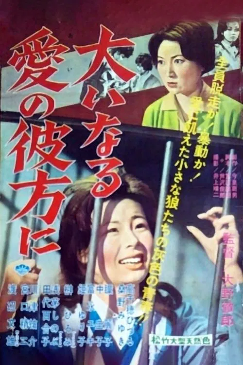 Girls Behind the Bars movie poster