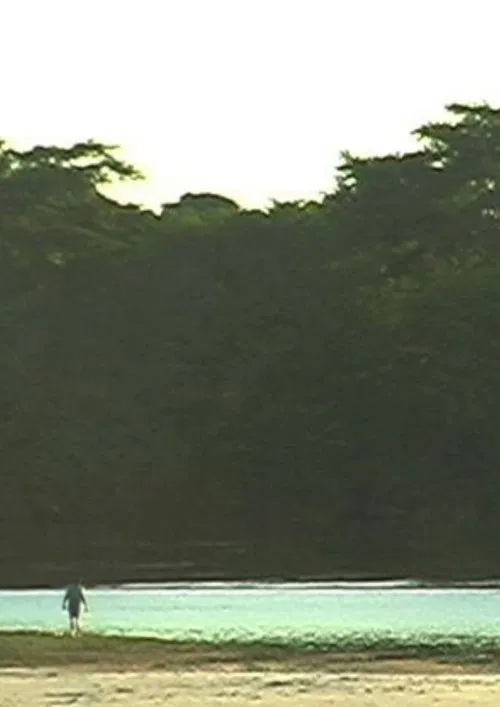 Poster do filme Pathway