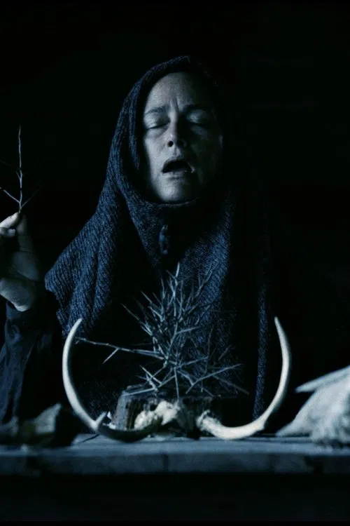 Poster do filme Mother of Flies