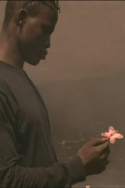 Poster do filme Waste no.6 How Great