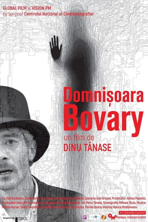Domnișoara Bovary movie poster