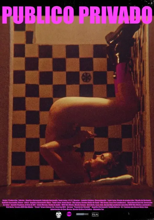 Poster do filme Publico Privado