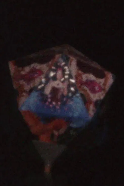 Poster do filme Regular Polyhedra