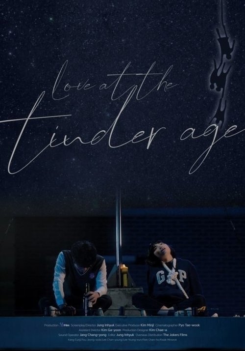Love at the Tinder Age movie poster