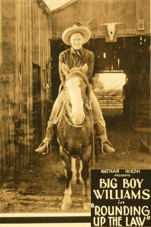 Rounding Up the Law movie poster