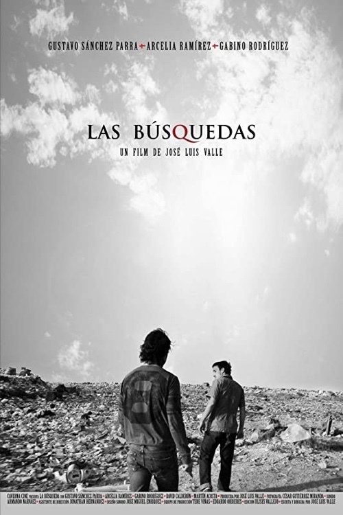 The Searches movie poster