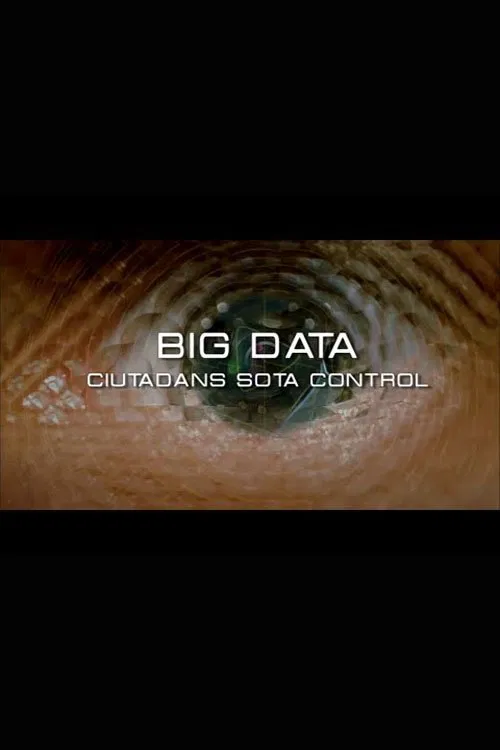 Big Data. Ciudadanos bajo control movie poster