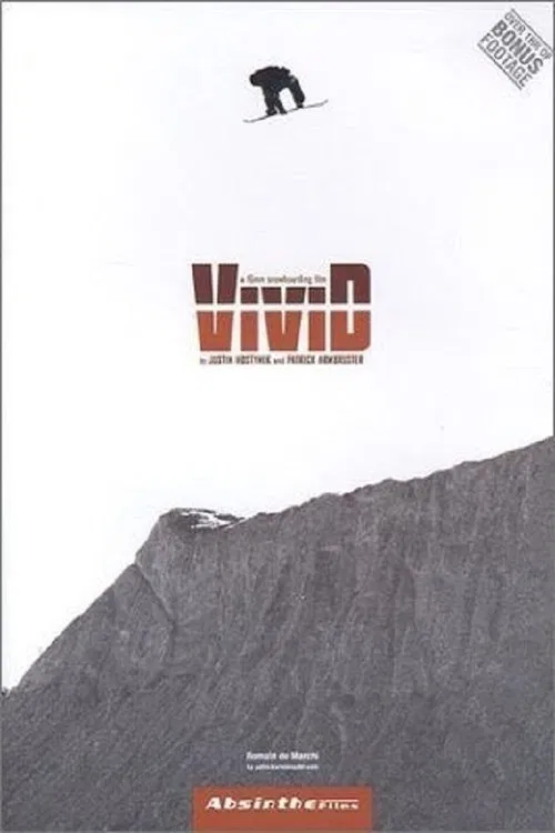 Vivid snowboarding movie poster