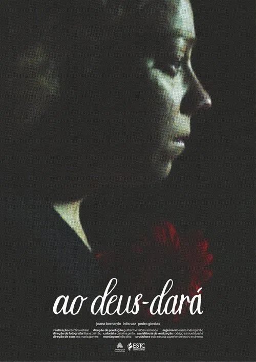 ao deus-dará movie poster