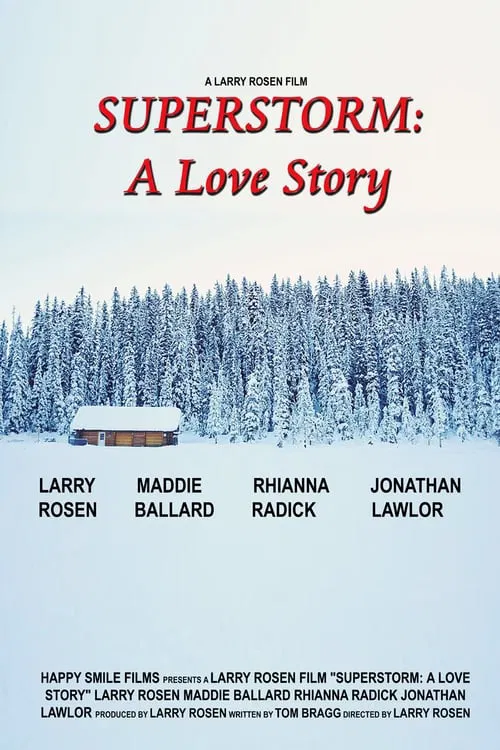 Superstorm: A Love Story movie poster