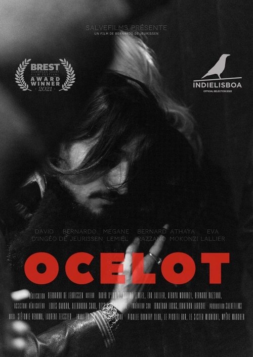 Ocelot movie poster