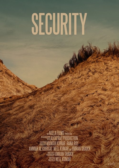 Poster do filme Security
