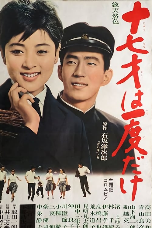 Sweet Seventeen movie poster