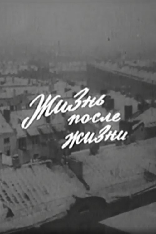 Жизнь после жизни movie poster