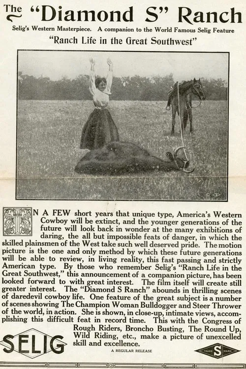 The 'Diamond S' Ranch movie poster