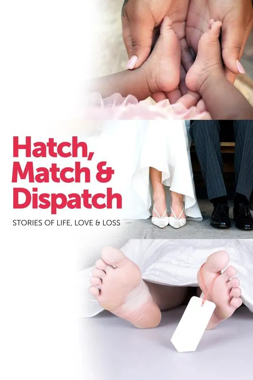 Hatch, Match & Dispatch tv show poster