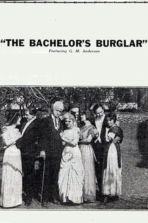The Bachelor's Burglar movie poster